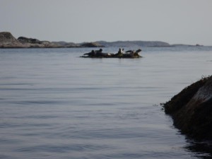 DSC03014